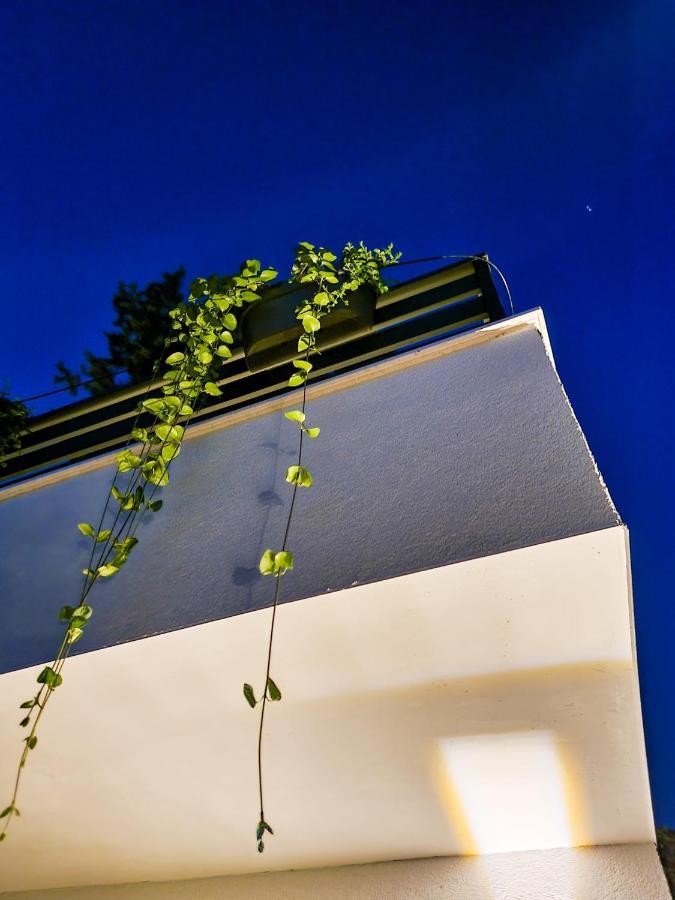 ביוגראד נה מורו Residence ǁ Corino מראה חיצוני תמונה